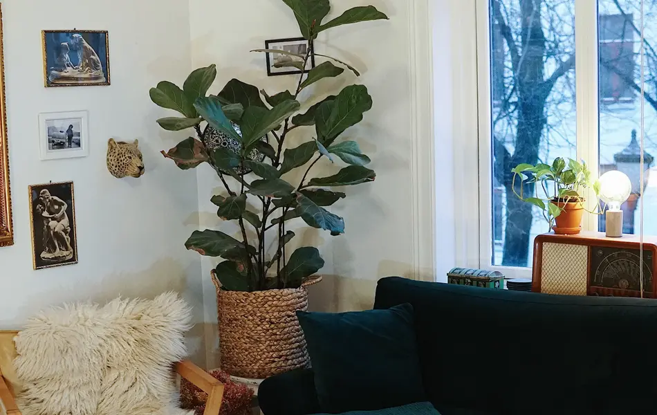 treningsekspert Anna Johansen trener på matte på gulvet, mørkegrønn sofa i bakgrunnen, lys stol med pels oppi, str grønn plante, bilder på veggen