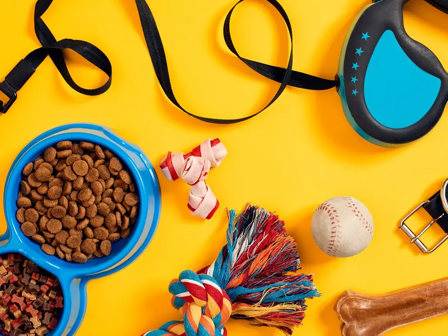 Matskål med mat, hundebånd og hundeleker som ligger utover en gul bakgrunn