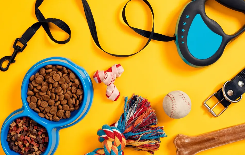 Matskål med mat, hundebånd og hundeleker som ligger utover en gul bakgrunn