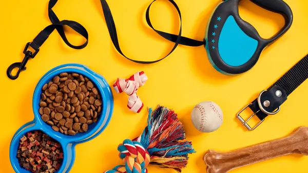 Matskål med mat, hundebånd og hundeleker som ligger utover en gul bakgrunn