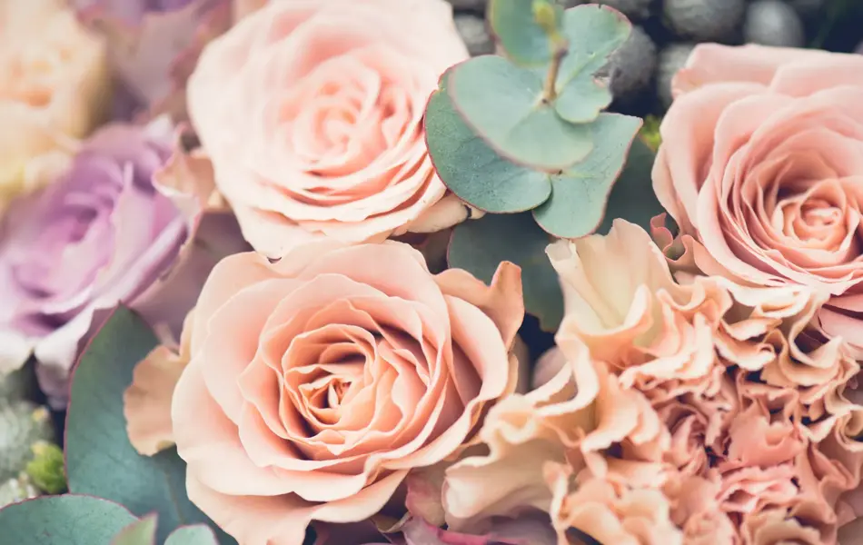 Blomster i mange farger