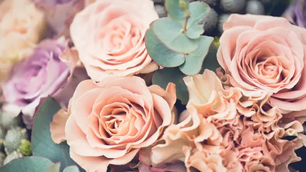 Blomster i mange farger