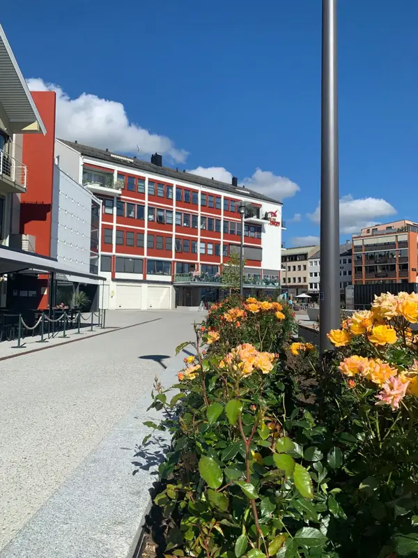 molde by