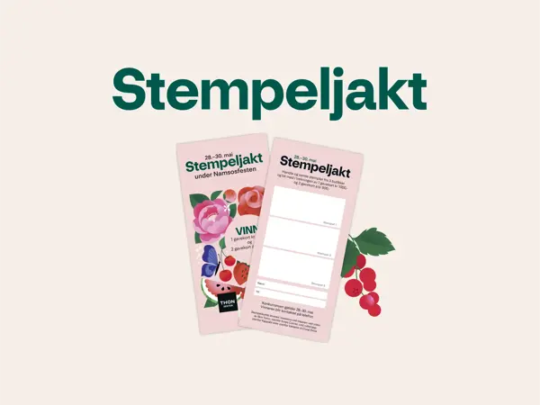 TS_Namsos_Kampanje_Namsosfest