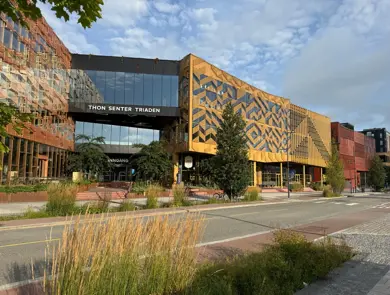 Triaden høst 2026