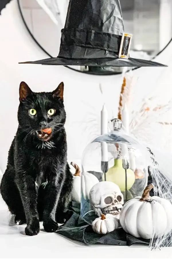 halloween Nille 