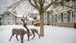 Lørenskog områdefoto vinter 2021