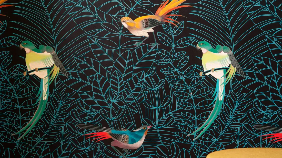 Mørk mønstret tapet med fargerike fugler i pauseområde på Thon Hotel Maritim