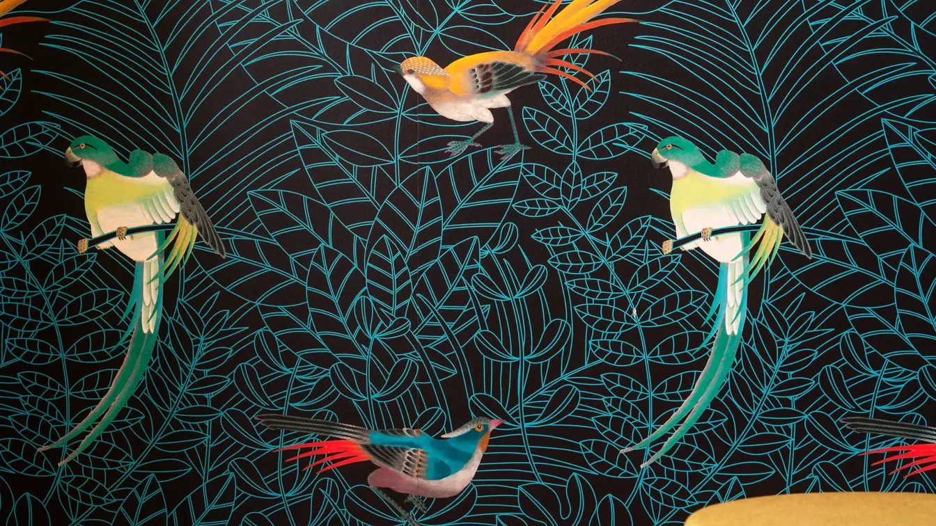 Mørk mønstret tapet med fargerike fugler i pauseområde på Thon Hotel Maritim