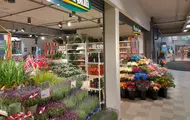 AMFI Drøbak City Mester Grønn