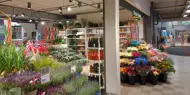 AMFI Drøbak City Mester Grønn
