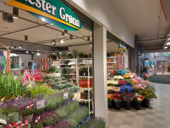 AMFI Drøbak City Mester Grønn