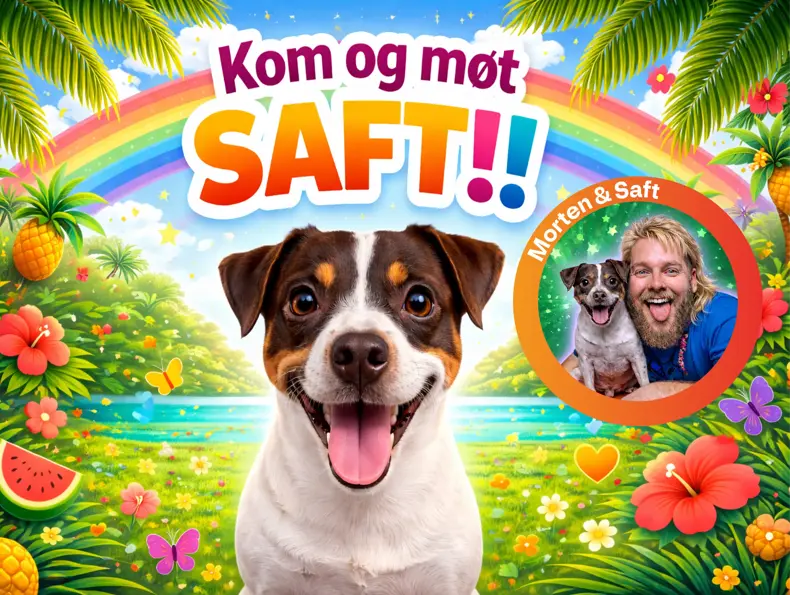 Bilde av hunden Saft med tekst "Kom og møt Saft"