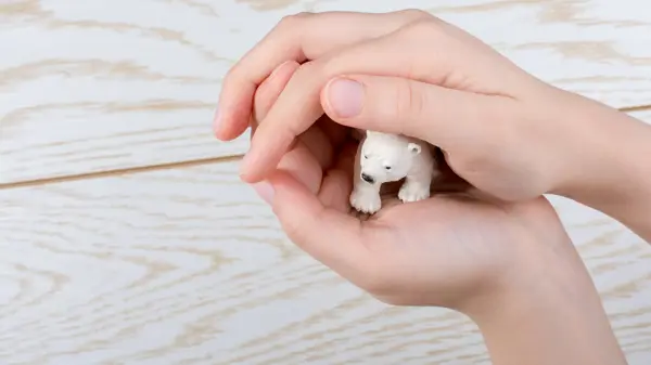 Hand holding a Polar bear model on a wooden background