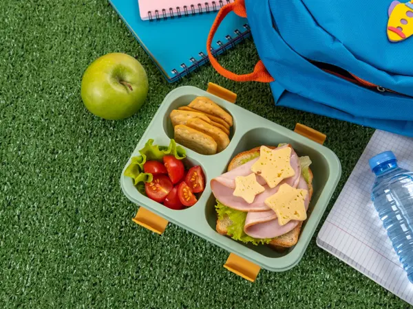 Healthy school lunch box with sandwich and salad at school yard. School supplies, books, apple and a bottle of water. Back to school