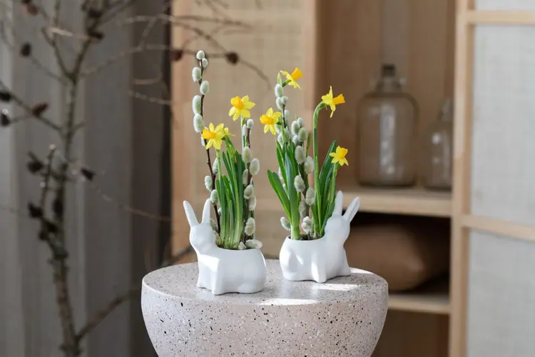 Tulipaner, liljer og stemor er endelig i sesong! Mester Grønn og Plantasjen gir deg sine tips til hvordan du pynter med blomster til påske. 