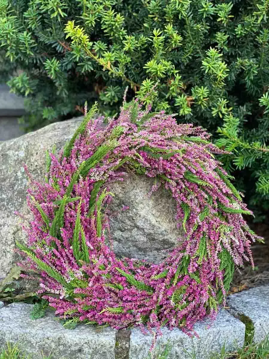 lyngkrans lent mot stor stein