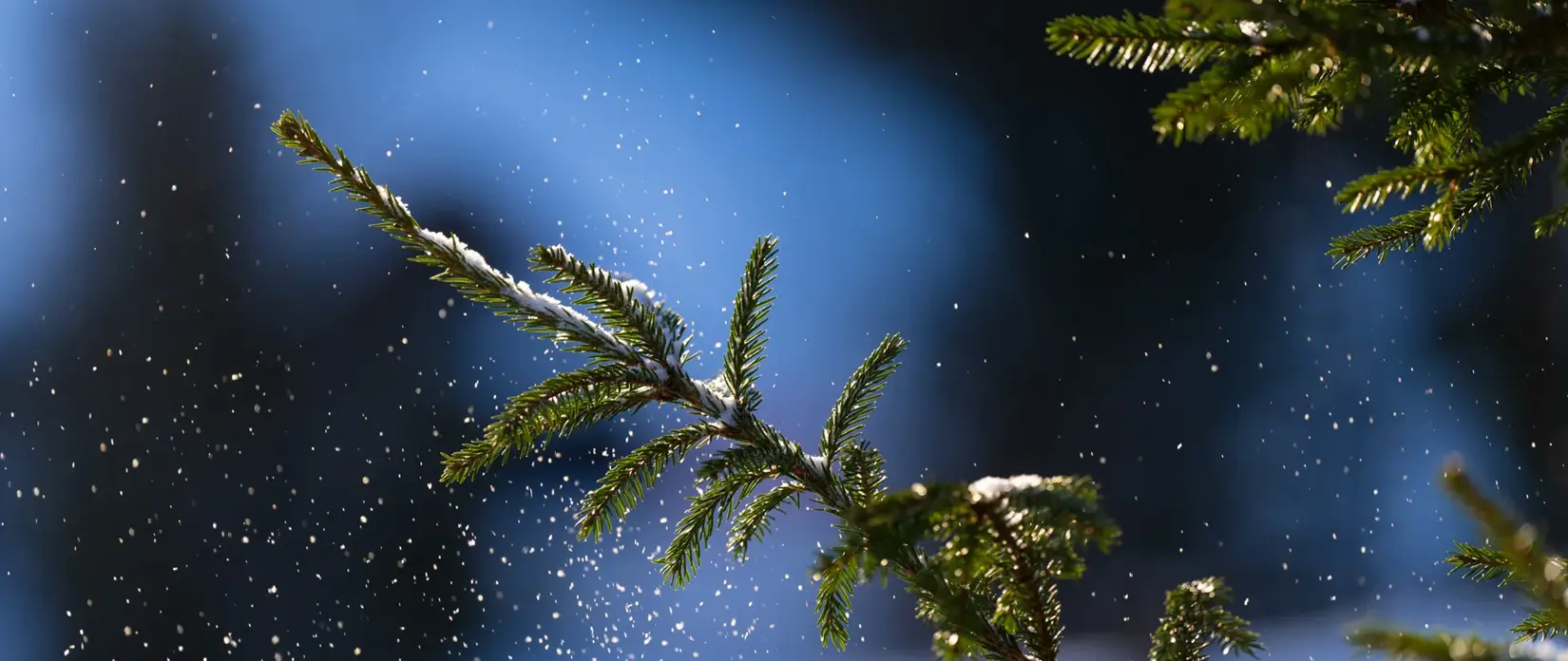 23-25_Vinter_Web_3-2_8