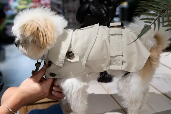 Personal Shopper Marianne Stene høstfavoritter