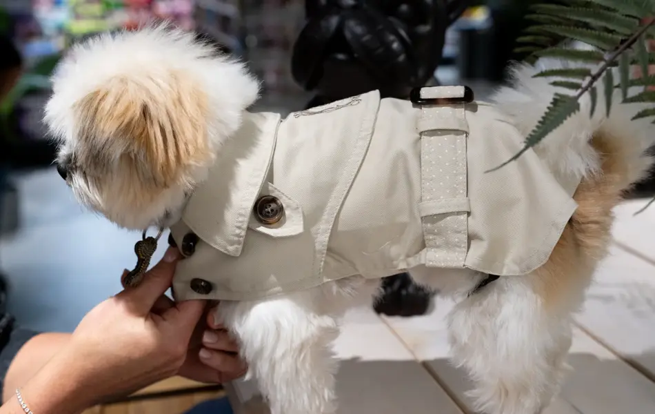 Personal Shopper Marianne Stene høstfavoritter