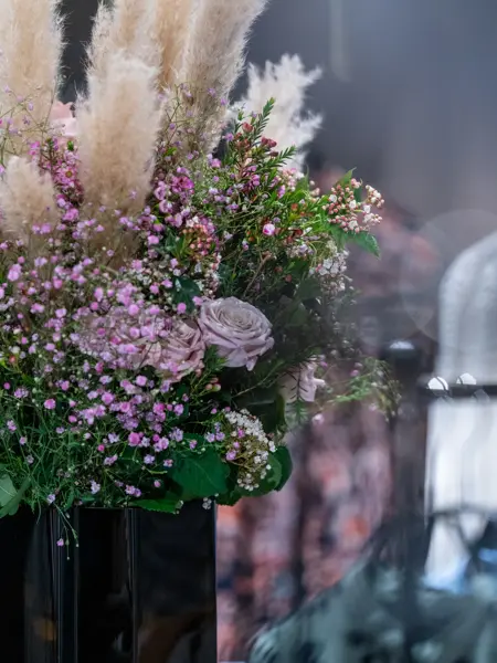 Vita & Wanda plukker favoritter 