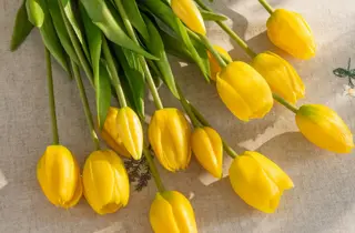 nille-stikkblomster-uke11-4.3