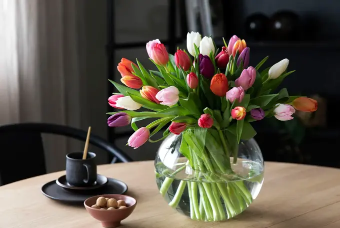 Tulipaner fra Mester Grønn