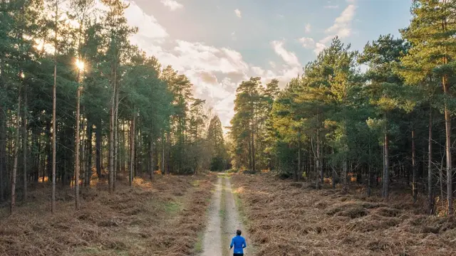 Mann er på joggetur i skogen.