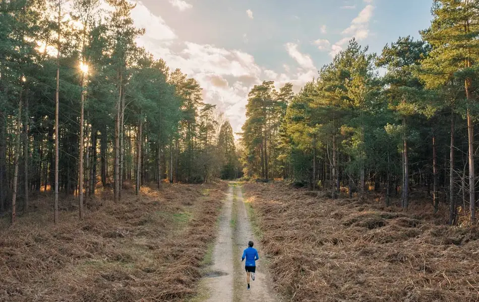 Mann er på joggetur i skogen.