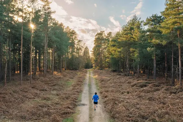 Mann er på joggetur i skogen.