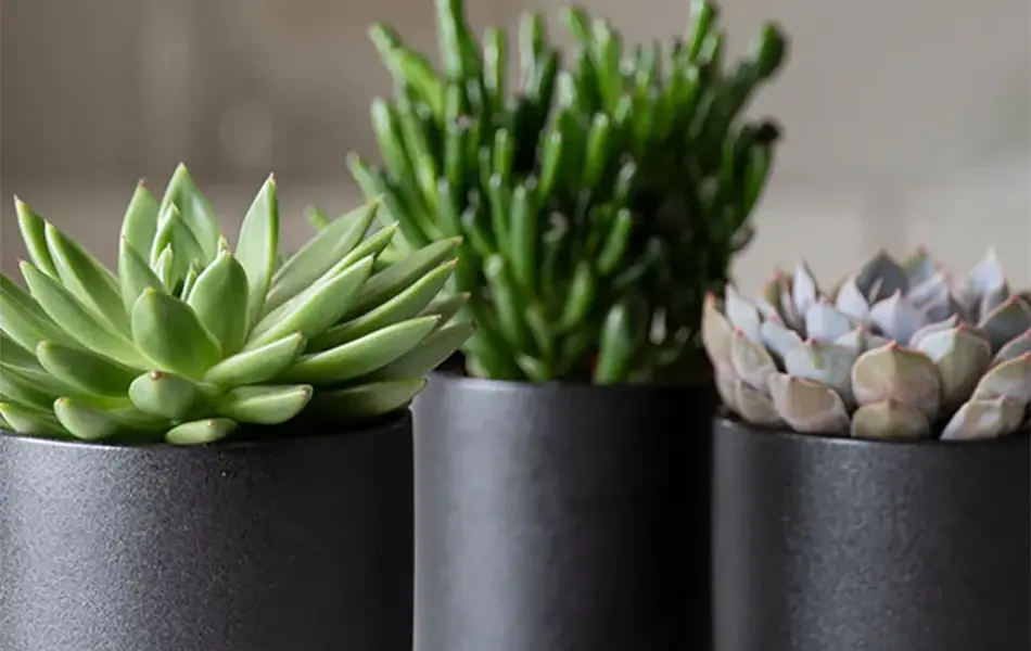 Høstens interiørtrender