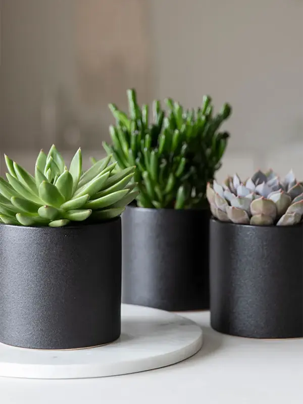 Høstens interiørtrender