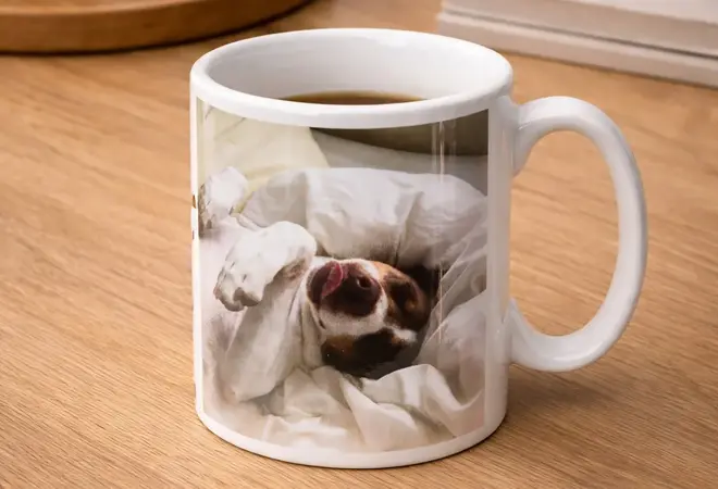 EliteFoto-Helgekupp-Januar2026