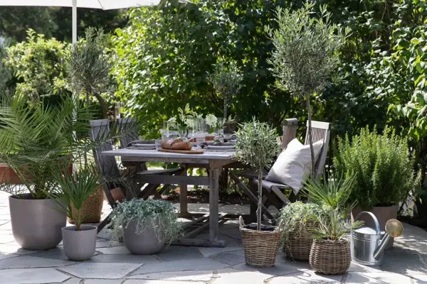 Uteplass med bord, stoler, parasoll og mange middelhavsblomster i krukker, oliventre og palmer