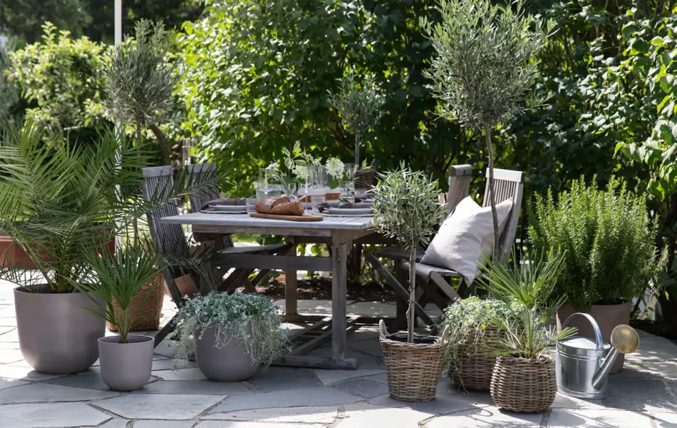 Uteplass med bord, stoler, parasoll og mange middelhavsblomster i krukker, oliventre og palmer