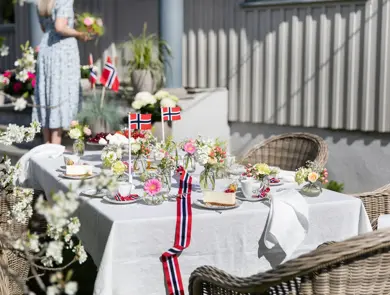 Mester Grønn 4_17mai_3for2_6822_f_s.jpg