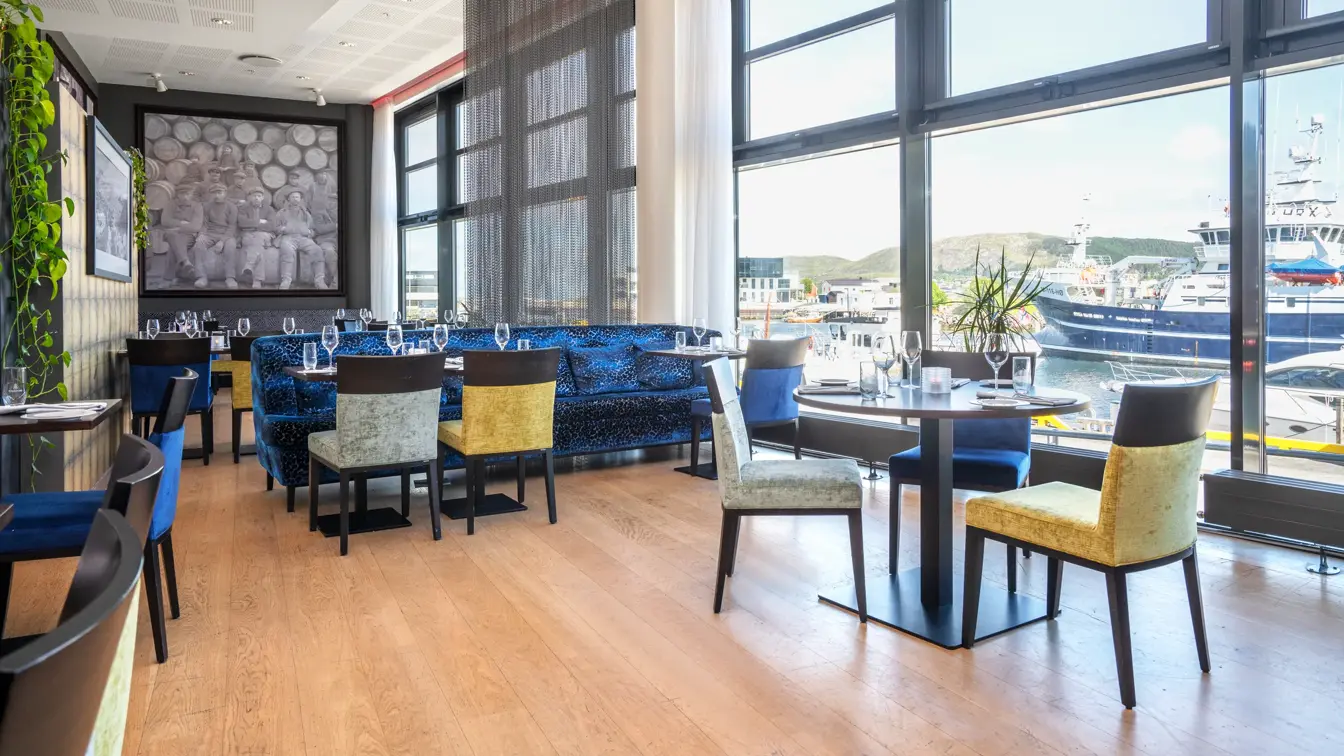 Restaurant, Spisebord, spisestoler, vindu, blå sofa, 