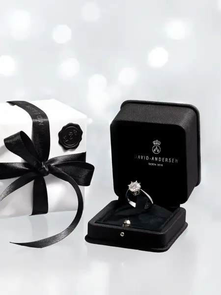 produktbilde av ring i eske