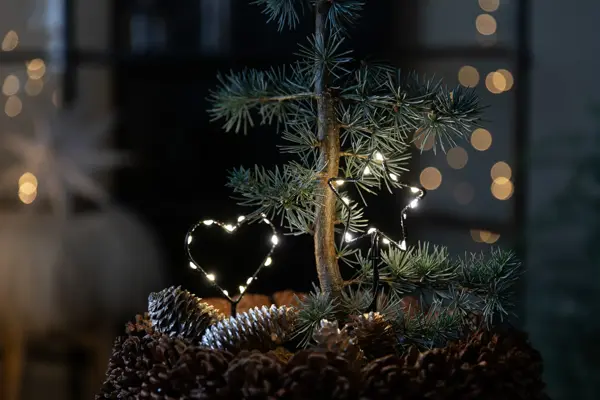 9_ Novent LED hjerte og stjerne