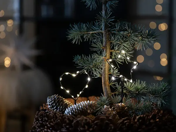 9_ Novent LED hjerte og stjerne
