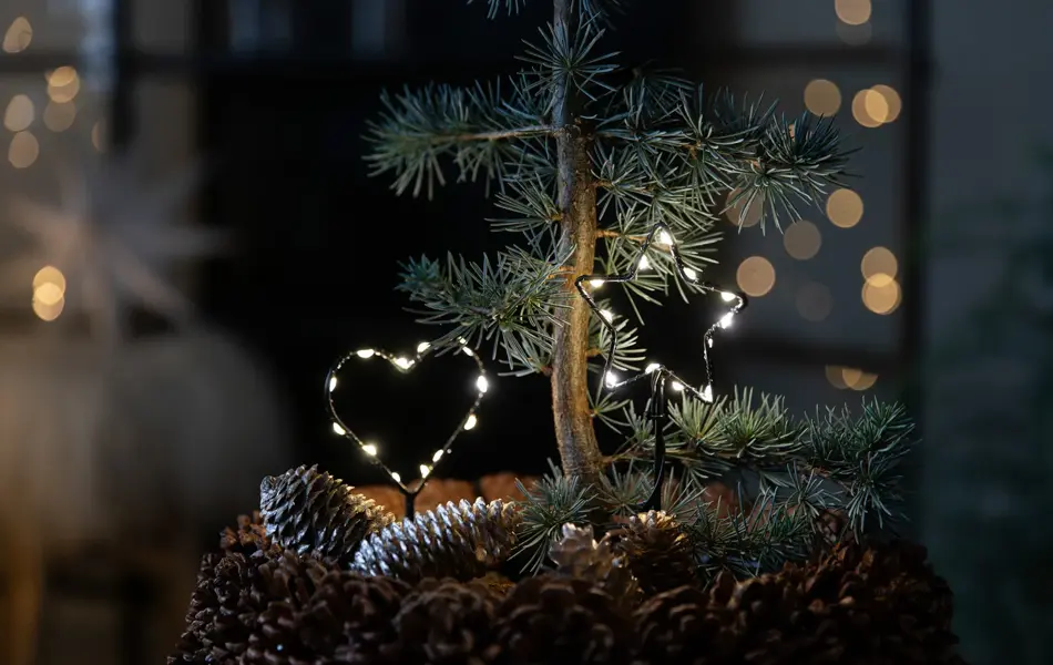 9_ Novent LED hjerte og stjerne