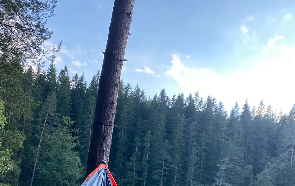 Dame som ligger i hengekøye og leser "Gode Mat Sopper"