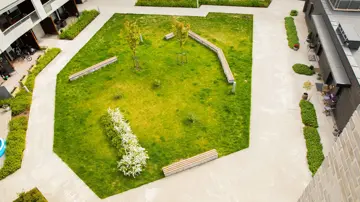 Bilde av grønt fellesareal på Strømmen Verksted