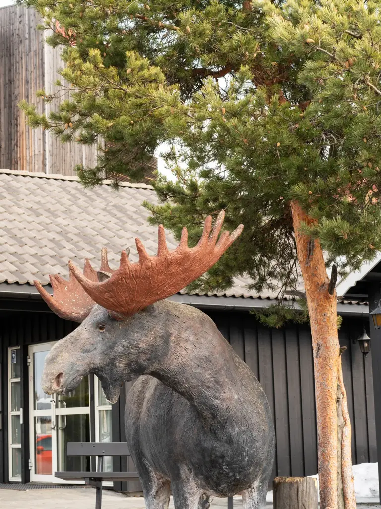 Utenfor hotellet ønsker elgen deg velkommen.
