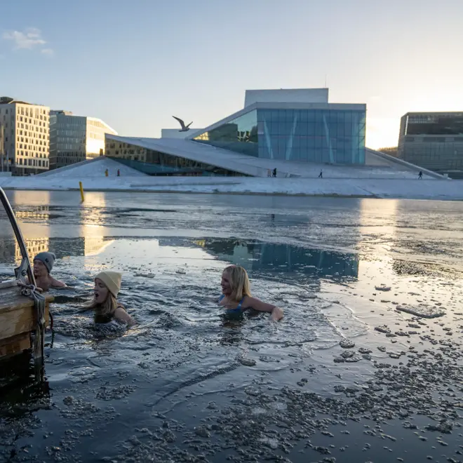 Fire badegjester bader i iskaldt vann ved en badetrapp i Bjørvika, med Operaen i Oslo badet i vintersol i bakgrunnen.