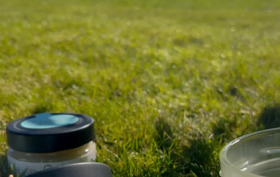 Glass med Storohonning på en plen