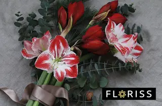 floriss-amaryllis-snittblomst-uke49-3.2