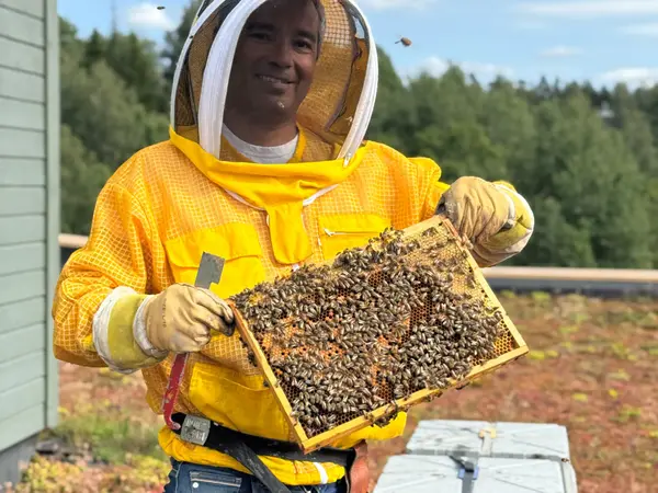 grønn