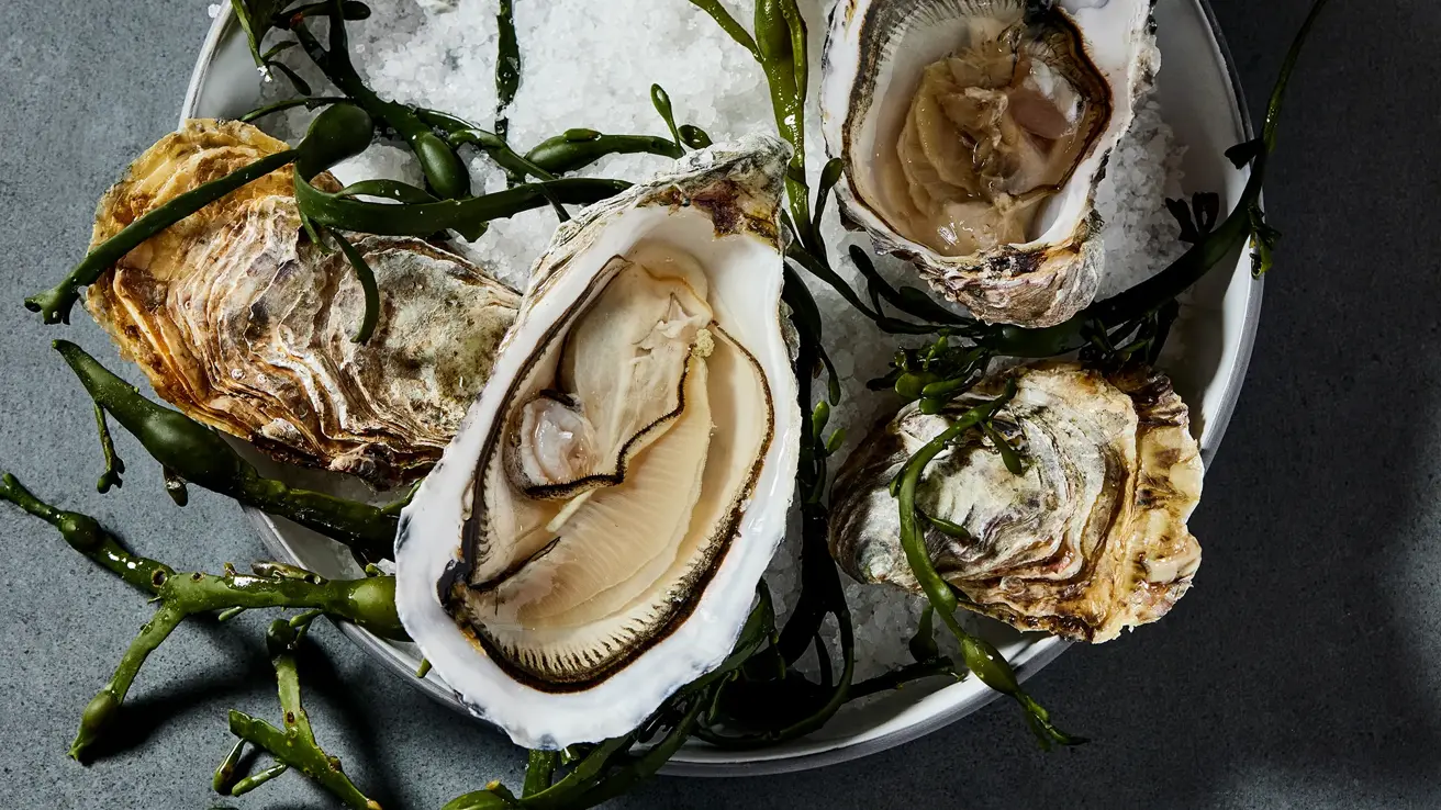 Thon_Hotel_Slottsparken_restaurant_matfoto