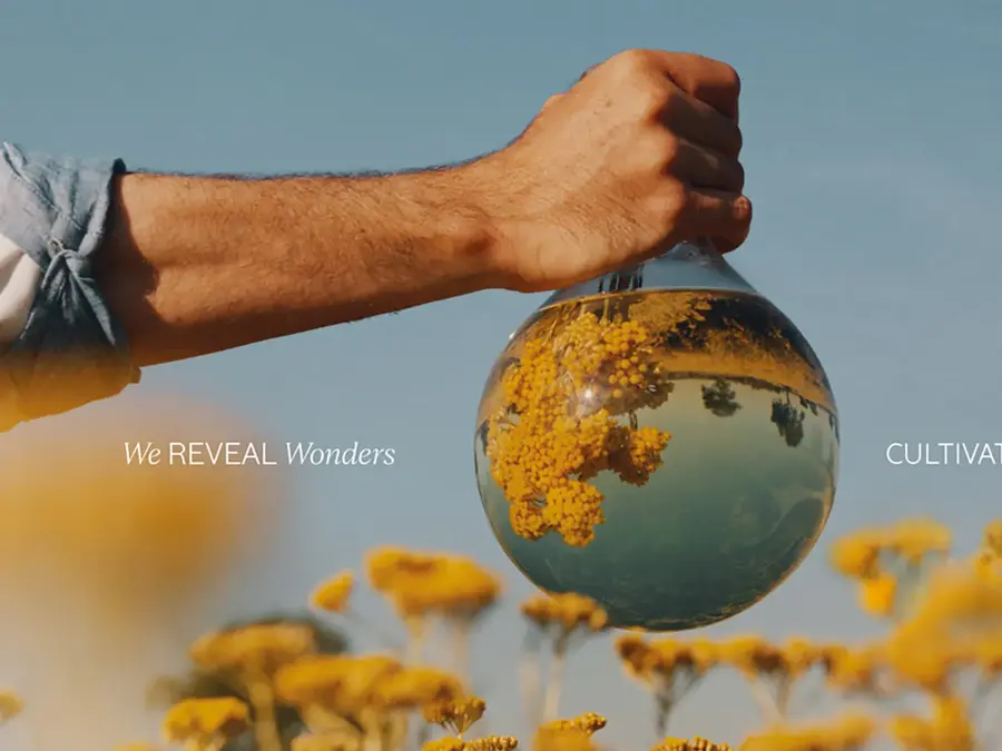 Hånd holder en jordklode i en strå eng